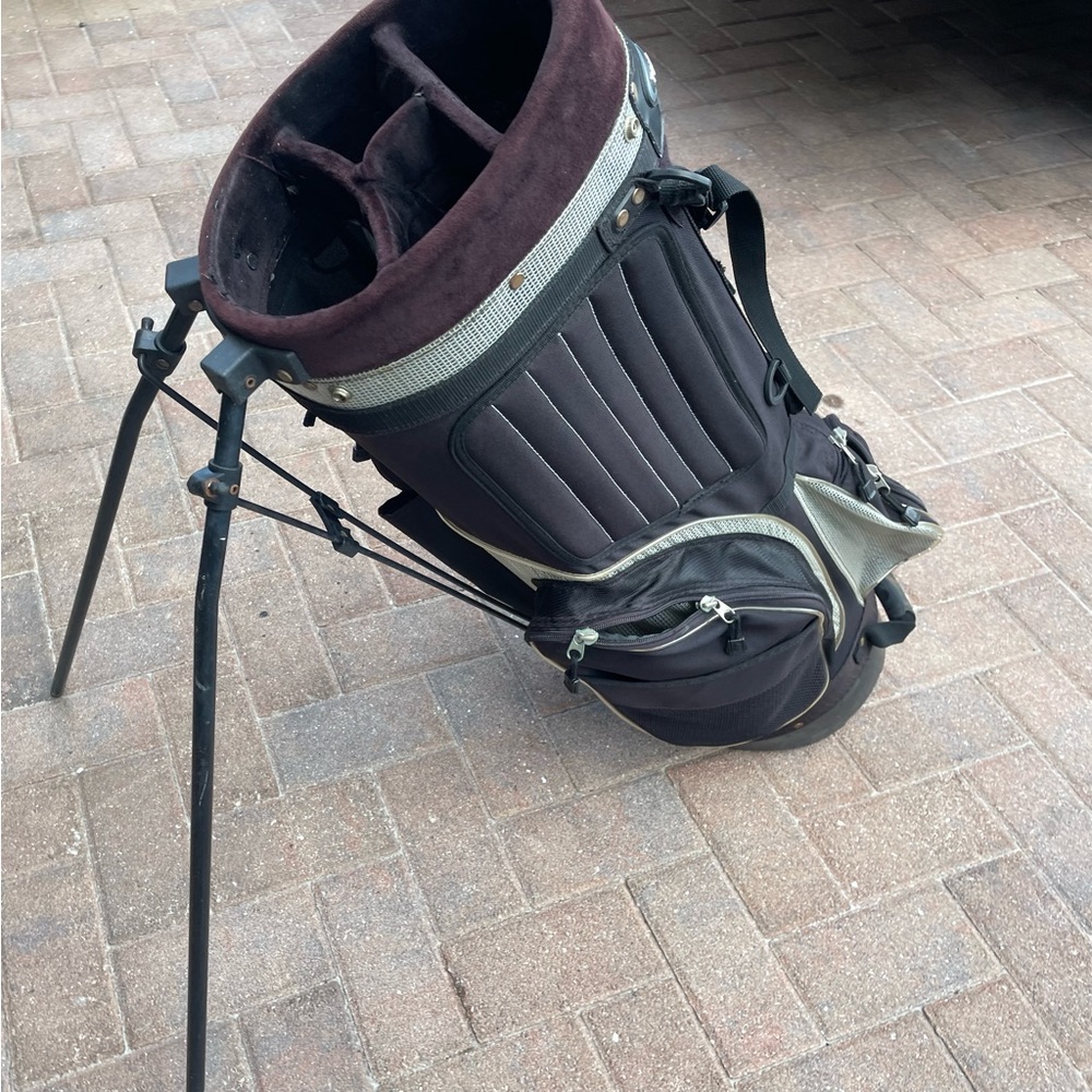 Tour technology golf stand bag with double shoulder strap